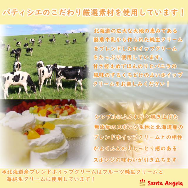 フルーツの大型パーティー写真ケーキ24×24センチ8号：送料無料 冷凍