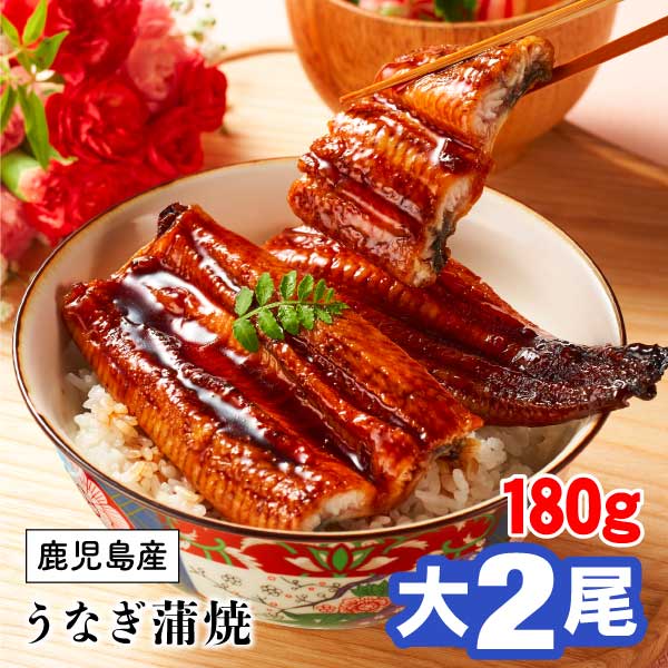 うなぎ 国産 ギフト うなぎ蒲焼 180g 2尾 鹿児島 大隅産 鰻 蒲焼 送料無料 プレゼント 贈り物 うなぎのタレ 冷凍 ウナギ unagi お取り寄せ 魚介 土用の丑の日 うなぎの蒲焼き 内祝い お返しの通販は 5,245円
