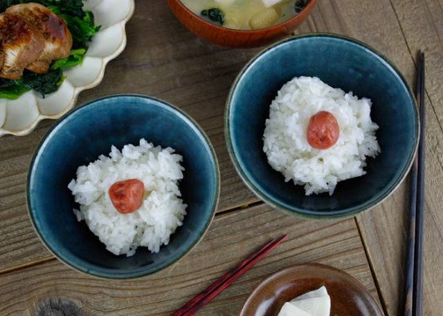 【新品・未使用】ごはん茶碗セット　益子焼　陶器　上質　ペア食器