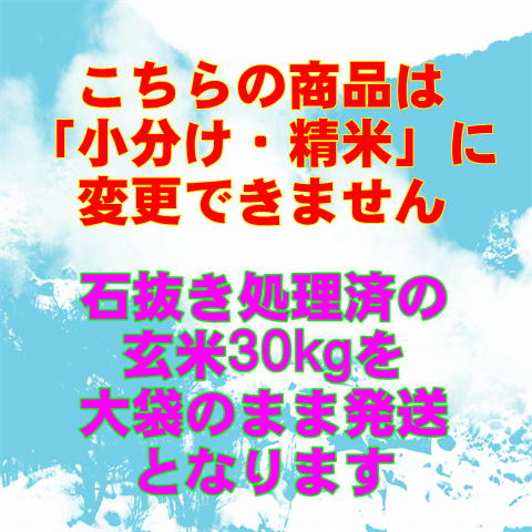 令和７年産 会津 特別栽培 コシヒカリ 玄米 30kg 石抜き 色彩選別機 処理済 大袋 東北〜関西 送料無料 他商品と同梱不可 精米不可 米 お米 ３０キロ 送料込み 小分け不可 【米販売店お断り 一般ご家庭専用】_1