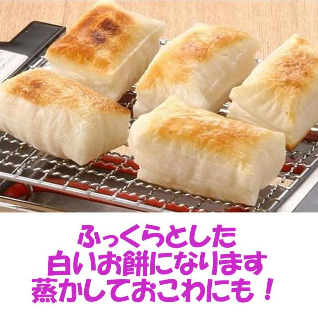 令和７年産 会津 こがねもち 白米 5kg×５袋 計 25kg もち米 お赤飯 おこわ モチ おもち もちごめ 送料無料 送料込み 買占めお断り_1