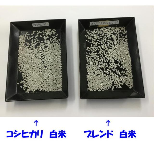 生活応援 ご家庭用 業務用 白米 5kg × ４袋 20kg 一部地域を除き 送料込み 安い 特価 家計応援 お米 米 安い オリジナルブレンド 国内産 100%_2