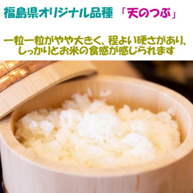 令和７年産 会津 天のつぶ 白米 5kg ×５袋 ２５キロ 米 お米 一部地域を除き 送料無料 送料込み 米販売店お断り 福島県オリジナル品種_1