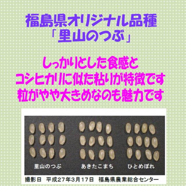 令和７年産 会津 里山のつぶ 白米 5kg ×５袋 ２５キロ 米 お米 一部地域を除き 送料無料 送料込み 米販売店お断り 福島県オリジナル品種_1