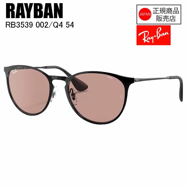 [国内正規品] RAYBAN レイバン ERIKA METAL エリカメタル RB3539 002/Q4 54 BLACK EVOLVE BROWN TO DARKBR サングラス