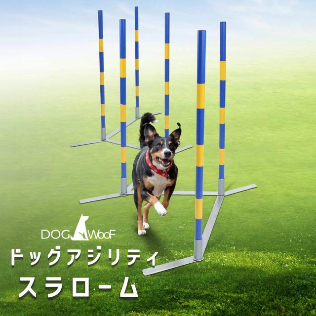 アジリティ　スラローム　本格的　犬　JKC規格に適応サイズ　本格的な練習が可能 楽天市場】【JKC公認訓練士 推奨】犬用 アジリティ スラローム