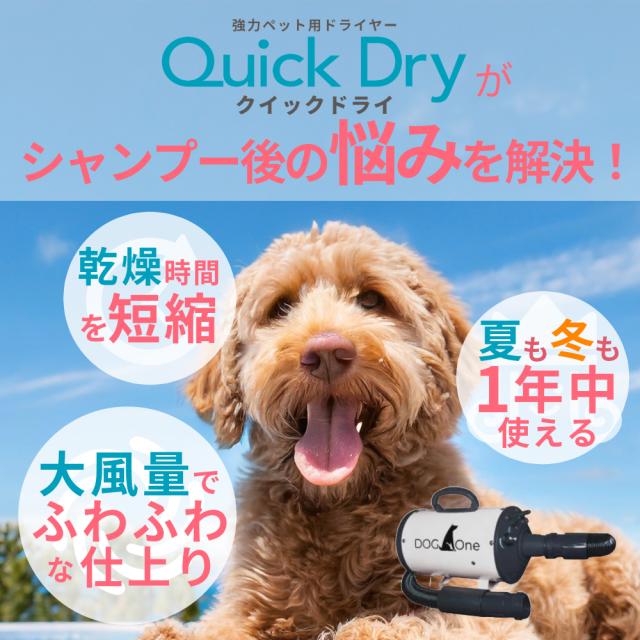 業務用 犬 ドライヤー ブロワー クイックドライ 大風量 温風 日本規格 