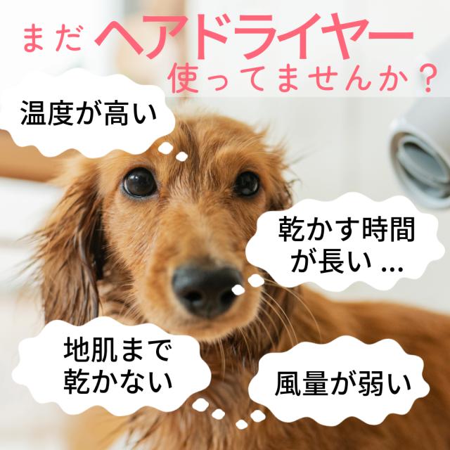 ドライヤー 業務用 犬 クイックドライ 「風量・温度連続調節」 安心の日本規格 PSE適合商品 ペットドライヤー ブロワー 温風も出る 大風量【中型犬、大型犬に最適】【小型犬多頭飼いに】（ピンク)_3