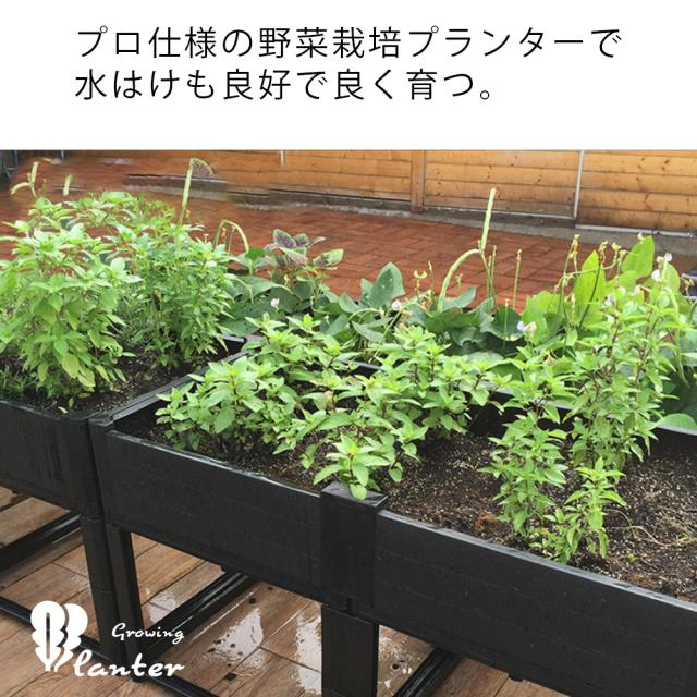 プランター 高床式菜園 野菜栽培用プランター 野菜植え付けボックス ガーデンプランター ベランダ 家庭菜園 (幅200cm×高さ53cm×奥行き100cm)_1
