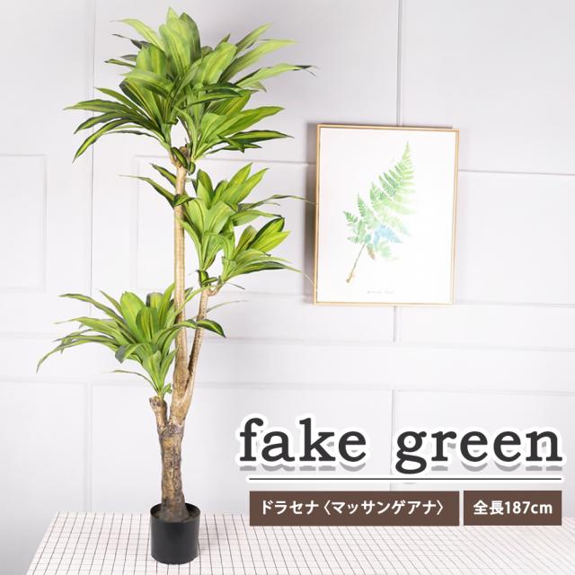 フェイクグリーン 観葉植物 リアル 人工観葉植物 高さ187cm ドラセナ マッサンゲアナ お手入れ不要