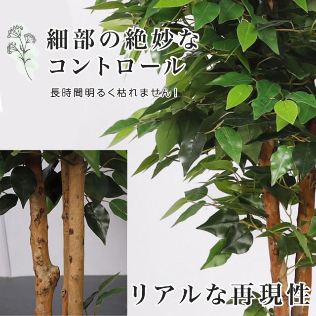 光触媒 人工観葉植物 ウォールグリーン フェイクグリーン ガジュマル