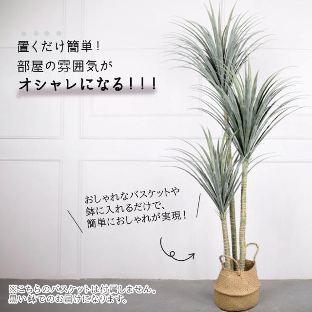 フェイクグリーン 観葉植物 リアル 人工観葉植物 高さ195cm ドラセナ お手入れ不要_6