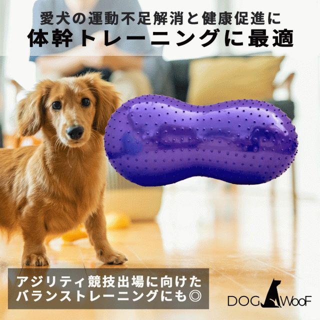 バランスボール 犬 ペット ピーナッツ型 ドッグバランスボール 小型犬