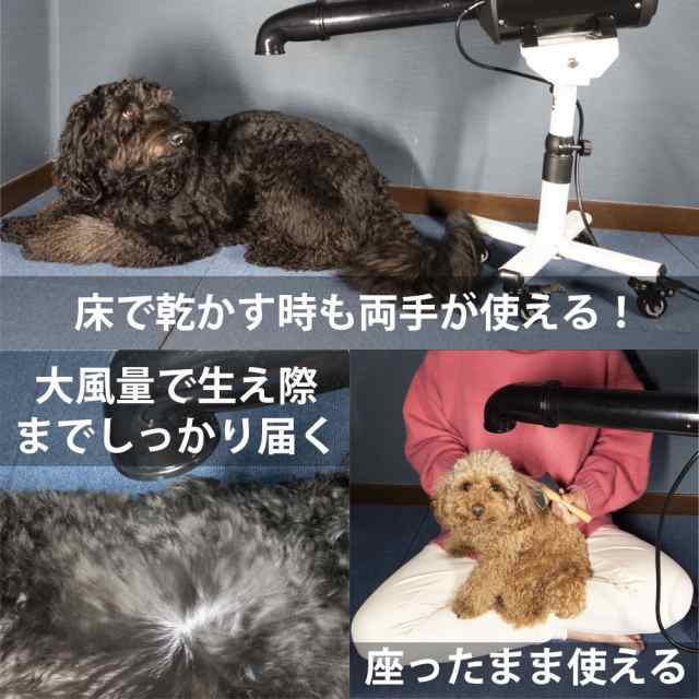 業務用 犬 ドライヤー ブロワー クイックドライ 大風量 温風 日本規格