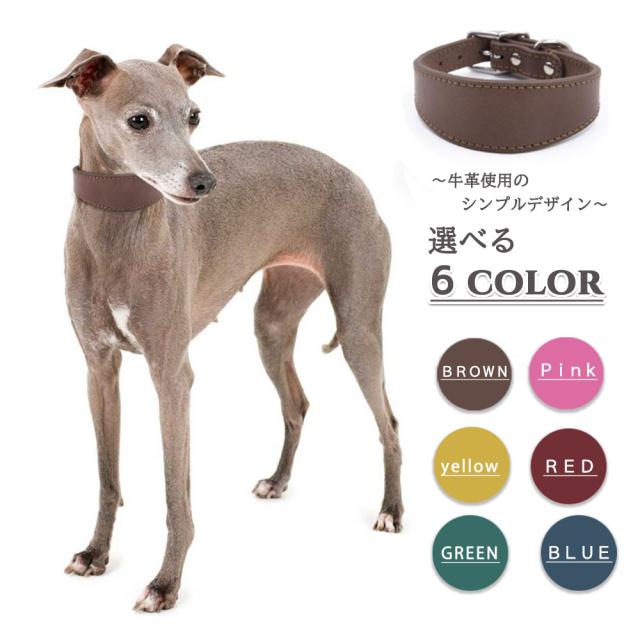 【ミニピン トイマン イタグレ ウィペット】スモーキーリブニット 首輪 イタグレ ミニピン ウィペット サルーキ 専用首輪 長さ35cm