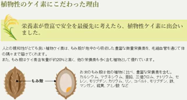 ライスシリカ 50ml 100％植物性シリカ濃縮液 水溶性植物ケイ素 国産無農薬米のもみ殻 約半月分 定形外発送の通販はau PAY マーケット -  健康生活をサポートするケントク | au PAY マーケット－通販サイト