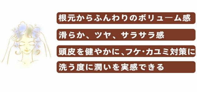 グリーンノート 自然葉シャンプー 300ml ヘナの色持ちUP アミノ酸シャンプー 無香料・弱酸性 泡トリートメント リンス不要 送料無料の通販はau  PAY マーケット 健康生活をサポートするケントク au PAY マーケット－通販サイト