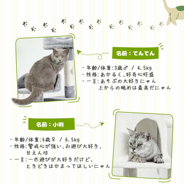 キャットタワー 据え置き 大型猫 中型 大型 付 おもちゃ 運動不足 安定 頑丈 ねこ 爪とぎ 爪研ぎ 多頭飼い 麻紐 子猫 シニア 省スペース