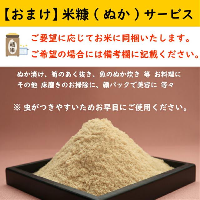 種籾！なつほのか10キロ