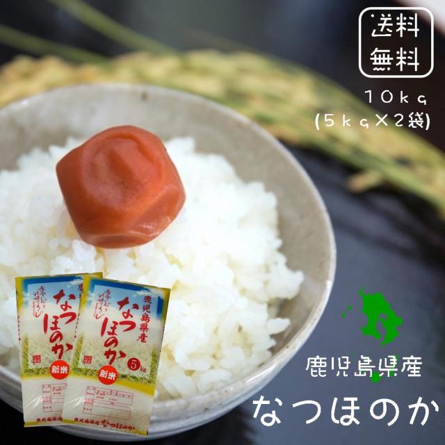 種籾！なつほのか10キロ
