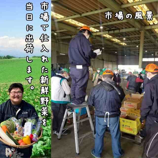 野菜　15種類　※一部地域を除く　マーケット　クール便　野菜セット　野上生産農場　たまご10個入りのおまけ付き（11月発送の方限定でドレッシングの通販はau　PAY　PAY　新鮮　au　送料無料　マーケット－通販サイト