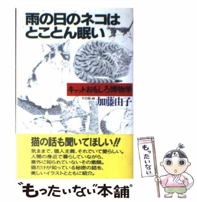 ネコが元気をつれてくる 「そんなに無理しないでいいのよ」と猫がいう 新版/大和出版（文京区）/麻生圭子