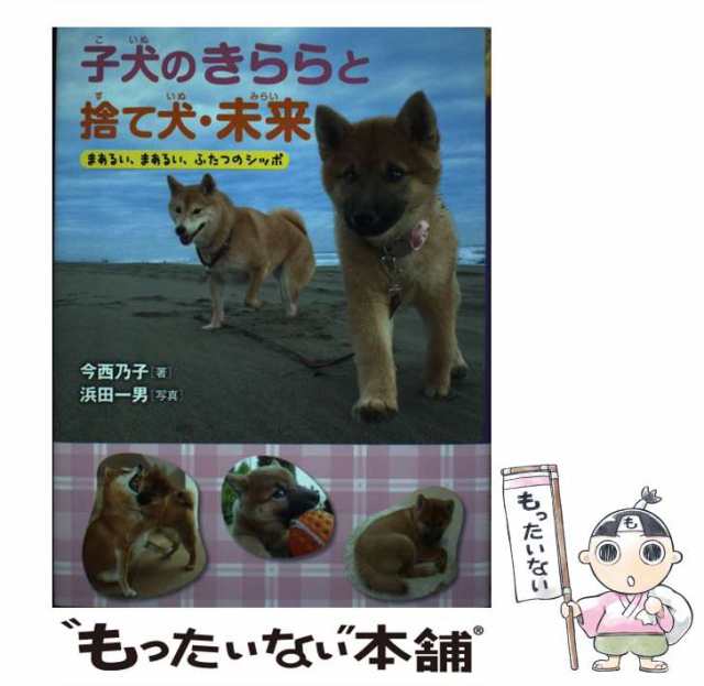 【中古】 子犬のきららと捨て犬・未来 まあるい、まあるい、ふたつのシッポ / 今西乃子、浜田一男 / 岩崎書店 [単行本]【メール便送料無｜au  PAY マーケット