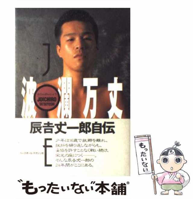 やくざ監督と呼ばれて 山陰のピカソ・野々村直通一代記 - 趣味