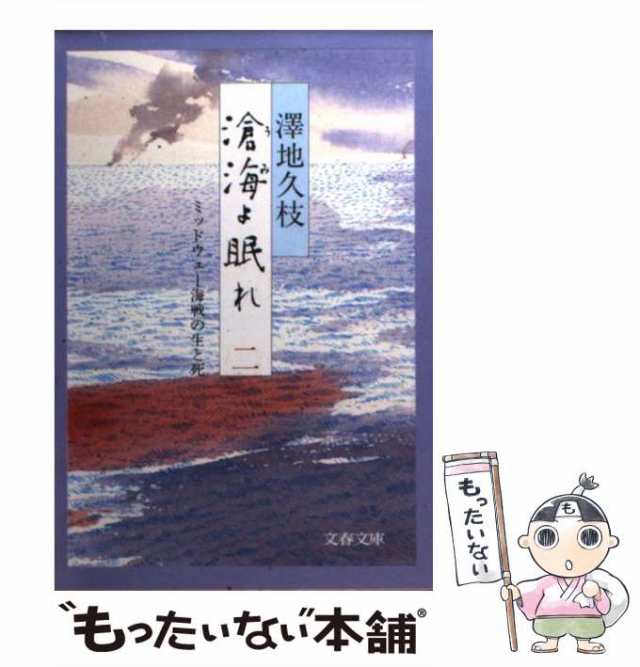 文庫】滄海よ眠れ1〜3 澤地久枝 www.sudouestprimeurs.fr