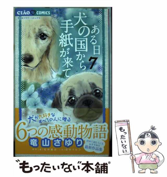 1_きょうのわんこ 感動編 レンタル落ち 最大64％オフ！ - キッズ