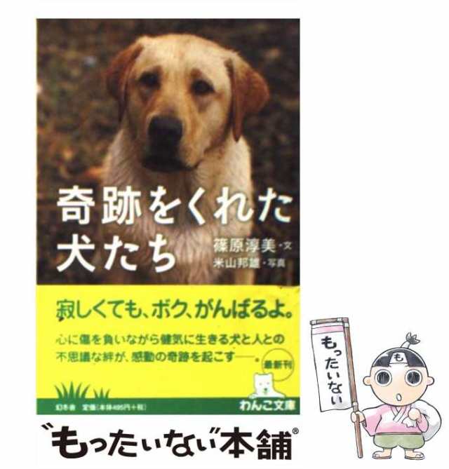 捨てられたいのちを救え! : 生還した5000匹の犬たち