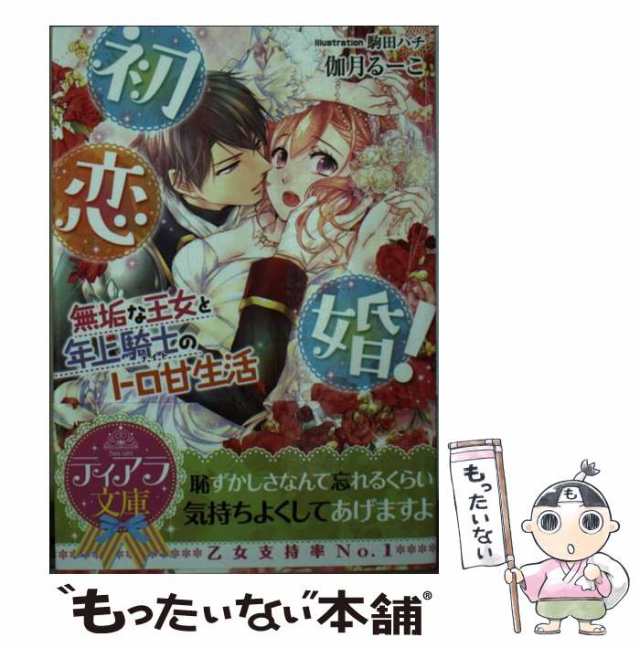 ソーニャ文庫 仁賀奈 TL 小説2冊セット 監禁 虜囚 天野ちぎり - 文学・小説