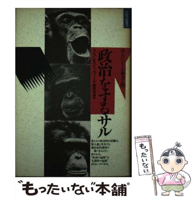中古】 ペルソナ・アナザービジョン 明日出会う自分へ / 甲斐 透