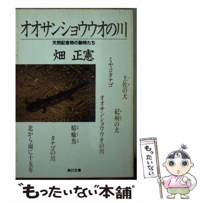 中古】 オオサンショウウオの川 天然記念物の動物たち （角川文庫 ...