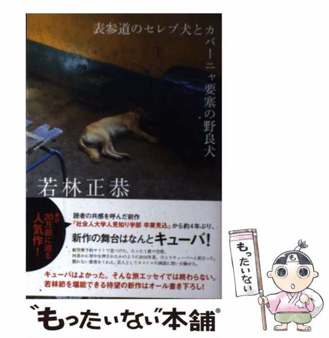 表参道のセレブ犬とカバーニャ要塞の野良犬 若林正恭