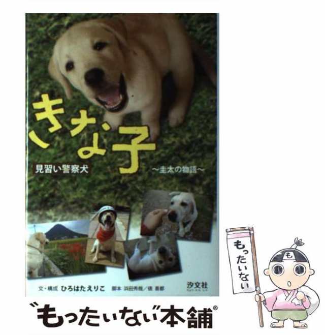 ファッションの さくら 原発被災地にのこされた犬たち