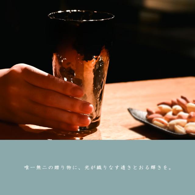 PROGRESS ビアグラス Glorious Long-Silver ビール ビア お酒 グラス プレゼント おしゃれ 2026 父の日 プレゼント 宇宙 ギフト チタン 日本製 伝統工芸 退職 お餞別 誕生日プレゼント 焼酎 グラス クリスマス  敬老の日 送料無料_13