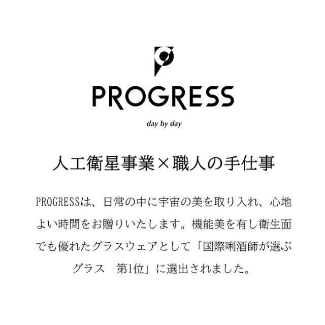 PROGRESS ビアグラス Glorious Long-Silver ビール ビア お酒 グラス プレゼント おしゃれ 2026 父の日 プレゼント 宇宙 ギフト チタン 日本製 伝統工芸 退職 お餞別 誕生日プレゼント 焼酎 グラス クリスマス  敬老の日 送料無料_11