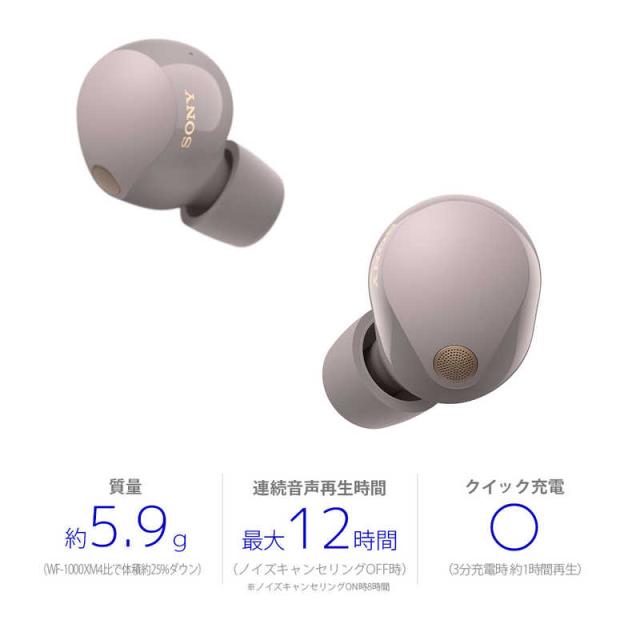 SONY ワイヤレスノイズキャンセリングイヤホン [スモーキーピンク] WF-1000XM5 P ブルートゥース対応 ラッピング可_1