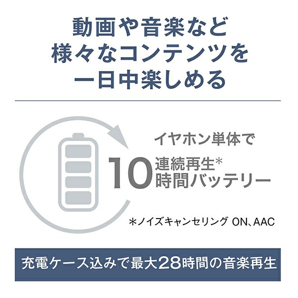 Technics テクニクス ノイズキャンセリング搭載完全ワイヤレスBluetoothイヤホン EAH-AZ100-S [シルバー][ラッピング可] R-LOGI_8