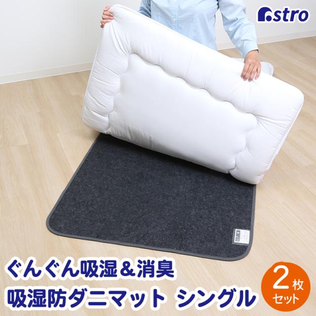 除湿シート シングルサイズ用 2枚組 活性炭 消臭 寝具用 強力吸湿 除湿マット 防ダニ 防カビ 結露防止 グレーブラック アストロ 615-03
