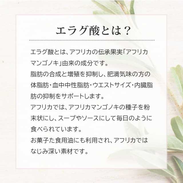 シボラナイト ゴールド GOLD 45粒 15日分 明治薬品 機能性表示食品 ...