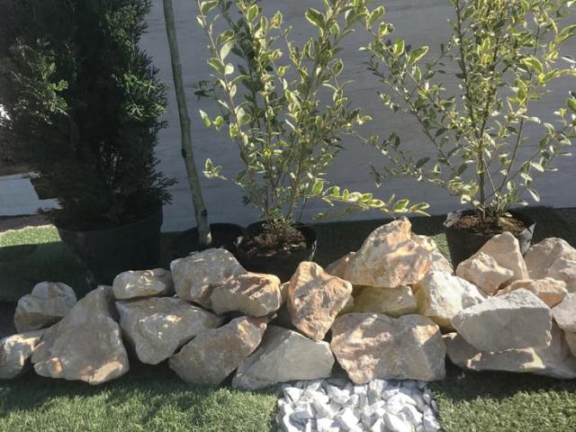 庭石 割栗石 庭 石 黄色 イエロー ロックガーデン ベージュ