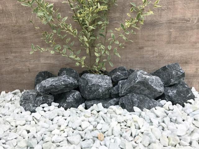 庭石 黒 ブラック 庭 ロックガーデン 石 岩 ガーデニング