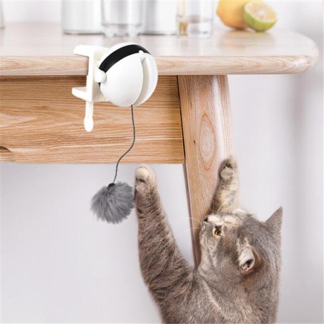 ねこじゃらし 電動ねこじゃらし 猫のおもちゃ 猫じゃらし 猫 おもちゃ ボール 猫遊び キャットタワー 自動 ストレス解消 運動不足解消 玩の通販はau Pay マーケット 猫の爪とぎ キーテイル ねこじゃらし 電動ねこじゃらし 猫のおもちゃ 猫じゃらし 猫 おもちゃ ボール 猫遊び キャットタワー 自動 ストレス解消 運動不足解消 玩の通販はau Pay マーケット 猫の爪とぎ キーテイル