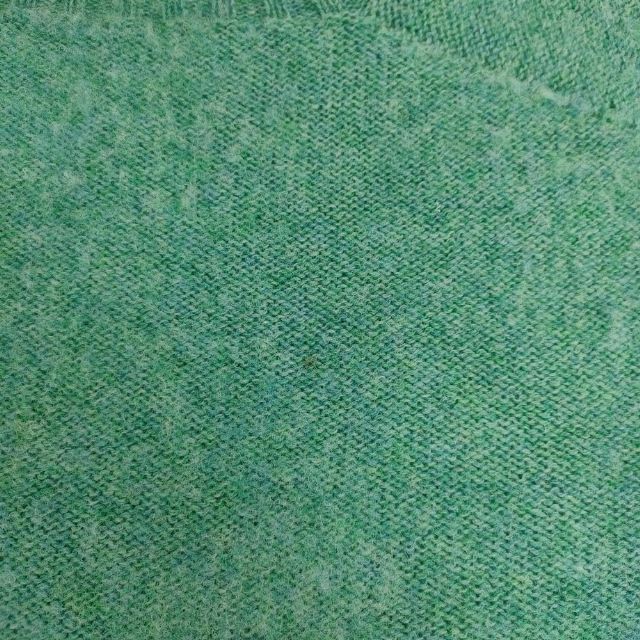 DANIELA GREGIS イタリア製 ウール クルーネック セーター ニット ライトグリーン レディース ダニエラグレジス【中古】6-0121T∞ DANIELA GREGIS イタリア製 ウール クルーネック セーター ニット