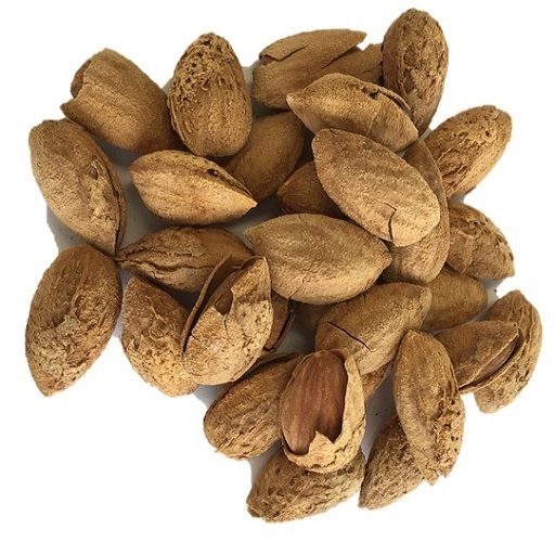 殻付きアーモンド ロースト 塩味 ナッツ 送料無料 3kg／500gパックが6袋入り （ソフトシェル500g×6P）　アーモンド 殻付き ソフトシェル  業務用 殻付きアーモンド ロースト 塩味 ナッツ 送料無料 3kg／500gパックが6