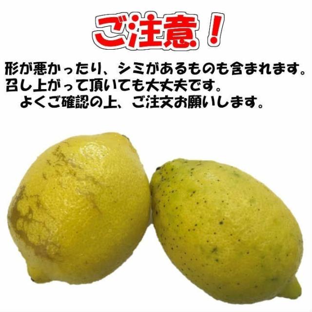 皮ごと使える（防ばい剤不使用 輸入レモン 10kg サイズ込 約60〜110個　クール 便）防腐剤・ワックス不使用 レモン サイズ込　青果　送料無料 ノンケミ レモン　冷蔵便_2