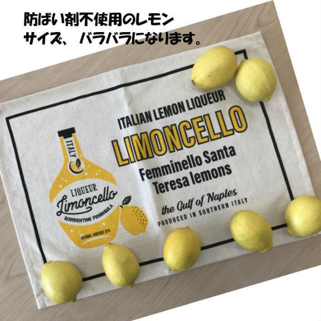 皮ごと使える（防ばい剤不使用 輸入レモン 10kg サイズ込 約60〜110個　クール 便）防腐剤・ワックス不使用 レモン サイズ込　青果　送料無料 ノンケミ レモン　冷蔵便_4