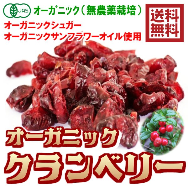 オーガニック クランベリー ＪＡＳ有機 600g／60gパックが10袋セット ドライフルーツ 送料無料（OGクランベリー×10P）有機認証 ドライクランベリー アリサン